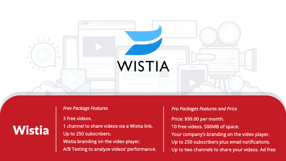 Wistia video hosting platform infographic